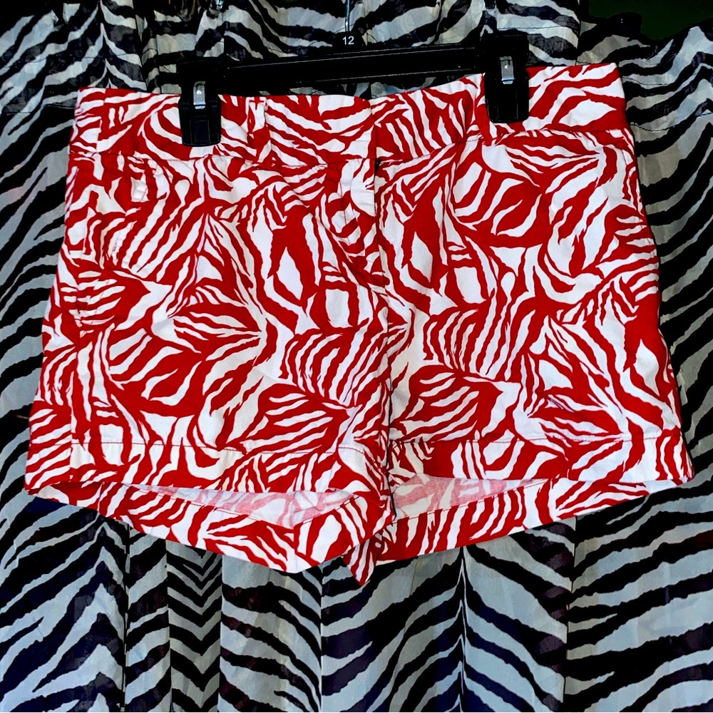 Beautiful Loft Shorts